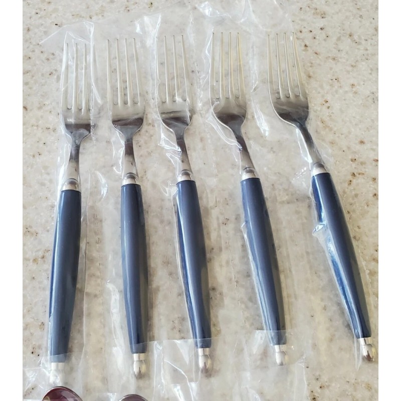 Giannini Imported Silverware 24 piece blu stainless steel set. Retails