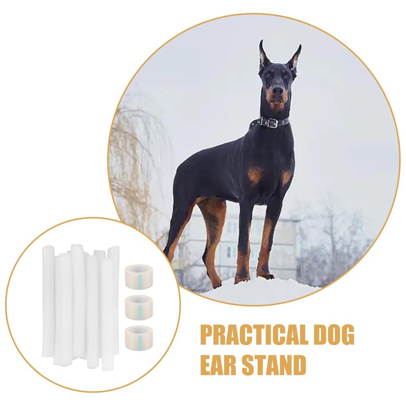 POPETPOP 10 pcs Doberman Dog Ear Posting Kit, Dog Ear