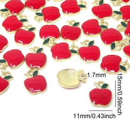 Honbay - 40 colgantes de aleación esmaltada de frutas rojas para volver a la escuela, mejor maestro o estudiante, para llaveros, arete, pulseras, collares, joyería y manualidades, Esmalte aleación, No