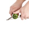 HIC Kitchen Jalapeno Pepper Corer, Stainless Steel Blade, 7-Inches x