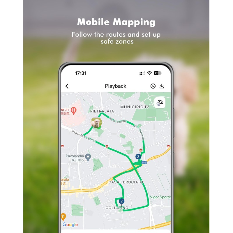 GPS PET Tracker GPS Dog Tracker 4G Real-time Satellite Monitoring,