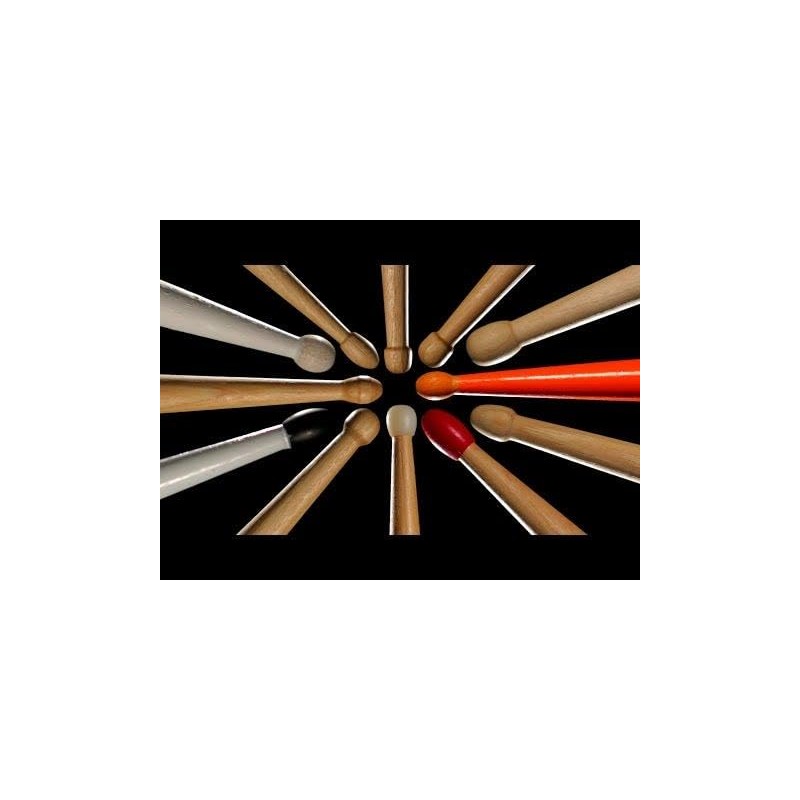 ZILDJIAN Trilok Gurtu Artist Series Drumsticks/Drumsticks