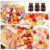 Gummy Candy Molds with 2pcs Droppers, Silicone Bear Dinosaur Fruit