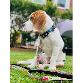 Max & Molly Gotcha! Dog Collar with Smart ID, Padded Neoprene Collar with Design for Very Small Dogs, Waterproof, Comfortable, Adjustable, Comic, XS