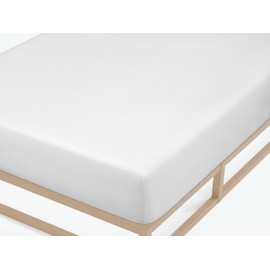 biberna 0077144 Fine Jersey Fitted Sheet (Mattress Height Max. 22 cm), Combed Cotton, Super Soft, 1 x 90 x 190 cm > 100 x 200 cm Maize
