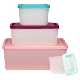 Bentology Snack Buddies - Fiambrera Mini Bento con 4 porciones de control de comidas y tapas - BPA, PVC, apto para alimentos, color rosa
