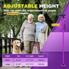 BigAlex Folding Walking Cane for Elderly Adjustable & Portable Walking