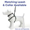 Pawtitas 6 FT Pet Puppy Leash Reflective Dog Leash Comfortable