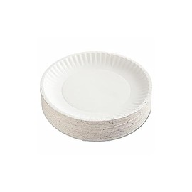 PAPER PLATE 9"100PK