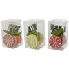 Set of 4 Decorative Tablecloth Weights with Clips - Citrus