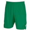 Joma Men's Toledo Shorts