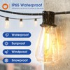 addlon 100FT(50FT*2) LED Outdoor String Lights Waterproof Patio Lights with