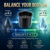 2 Pcs Remineralization Filter Compatible with Bluevua RO100ROPOT‑Lite/UV