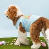 Fitwarm Egg-spert Hunter Dog Easter Outfit, Summer Clothes for Small