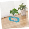 Levemolo 4pcs Transparent Plastic Test Tubes for Hydroponic Plant Propagation