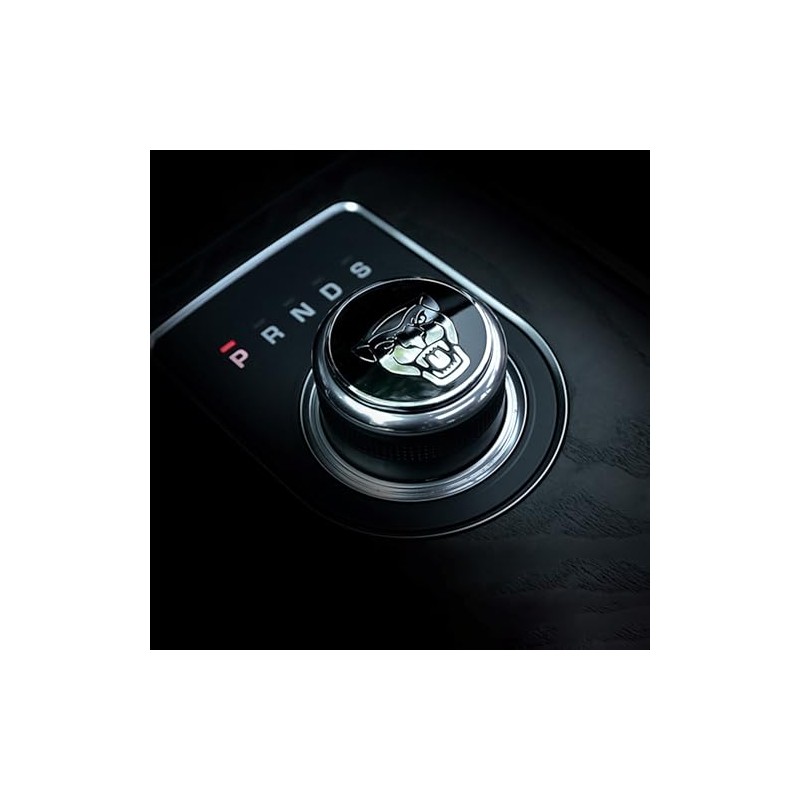 ARKPSKNIGHT Gear Shift Knob Cover,Sports Preformance Modification,Brand Logo Badge Decal
