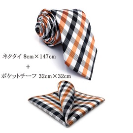 S&W SHLAX&WING Men's Necktie, Pocket Square, Multicolor, Checked, Wedding Accessory, 8cm x 147cm Necktie + Pocket Square
