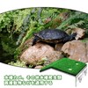PAVIKE Turtle Floating Island (M) Turtle Terrace for Turtles Land