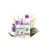 PURESSENTIEL PIDOCCHI LOZ+PETT
