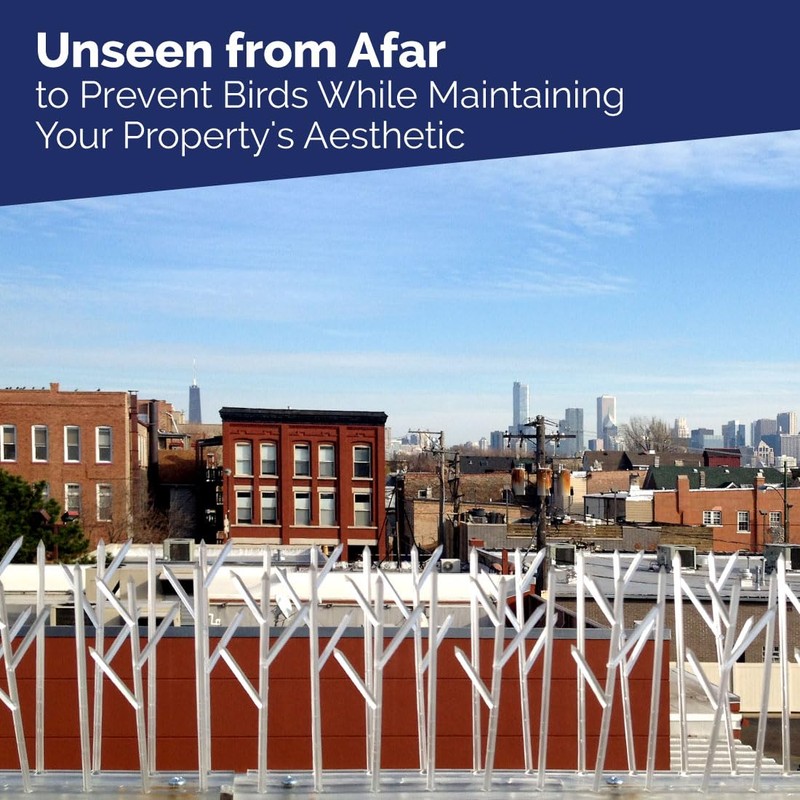 Bird-X Plastic Spikes Kit, Narrow Bird Spikes for Pigeons and