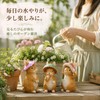 Champion Crafts Super Value Garden Ornament, Rabbit, Cute Spring Wind,