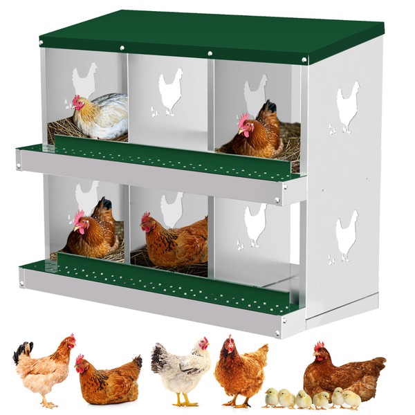 Chicken Nesting Box, 6 Compartment Metal Chicken Nesting Boxes for