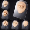 Vogem Piercing Practice Model Fake Ear Shape for Jewelry Display