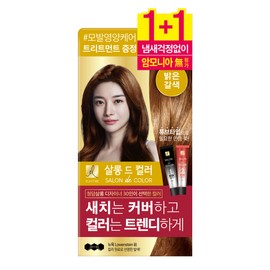 Elastin 엘라스틴 살롱드컬러 염모제 2입 (밝은갈색) Elastin Salon Color Hair Dye 2-pack (Light Brown)