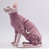 Ropa de gato sin pelo, cálida y suave, otoño e