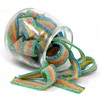 Snacktery Rainbow Sour Belts - Vibrant & Tangy Colorful Rainbow