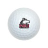 GRAPHICS & MORE Northern Illinois University Novelty Golf Balls 3