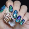 Whats Up Nails - Seahorse Vinyl Stencils for Nail Art