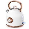 NESSGRAIM Retro Electric Kettle, 1.7L Stainless Steel Tea Kettle with