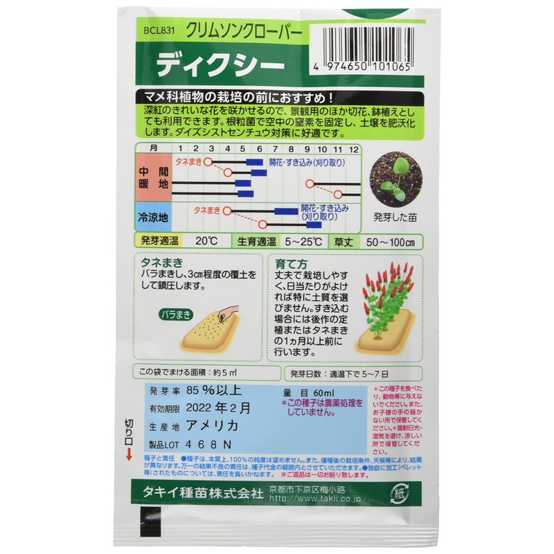 Takii Seedling Crimson Clover Dixie