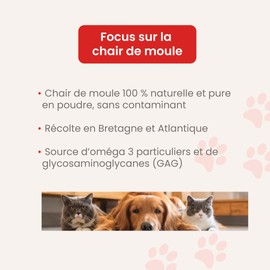 Compavet Muschelfleisch in Pulverform – für Hunde und Katzen – Gelenke – Mobilität – Entspannung und bessere Gelenkflexibilität – natürlicher Gag – Topf 150 g – entwickelt in Frankreich