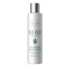 Scottish Fine Soaps Sea Kelp Marine Spa Replenishing Shower Cream