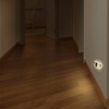 Annmore Night Light Baby Socket Koala Bear Socket Light Children