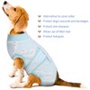 Kuoser Recovery Suit for Dogs and Cats After Surgery, Pet