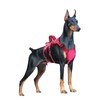 Escape Proof Dog Harness Medium Sized Six Point Adjustable, Soft