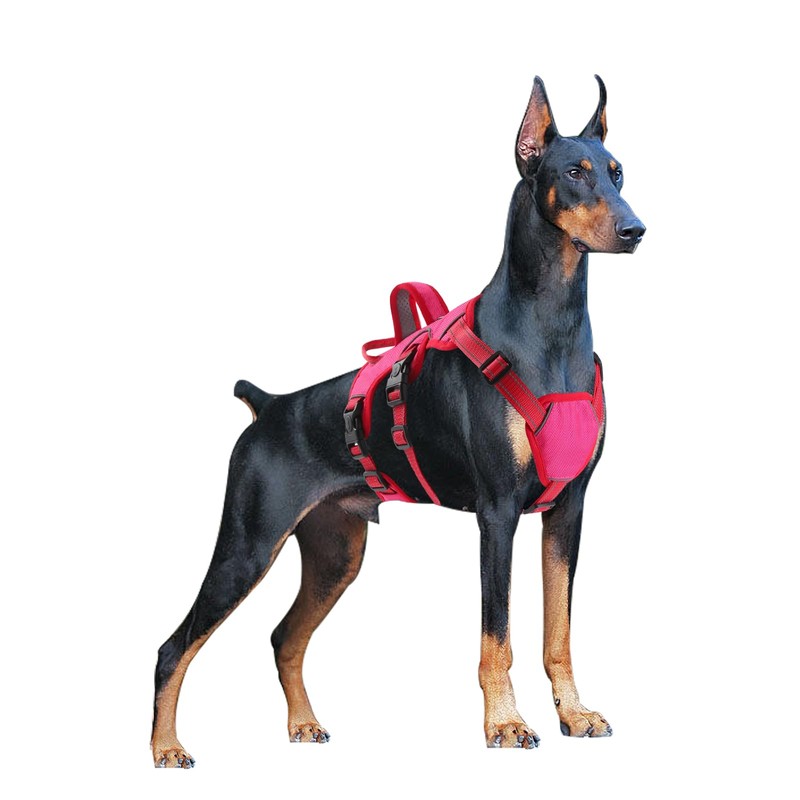 Escape Proof Dog Harness Medium Sized Six Point Adjustable, Soft