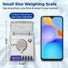 Gemini-20 Milligram Scale – Digital Jewelry/Lab Scale for Powder, Gold,