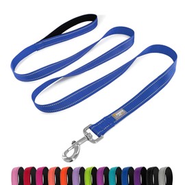 PenSeepet Dog Leash 6 FT Padded Handle Nylon Reflective Dogs Leashes for Large Dogs Blue
