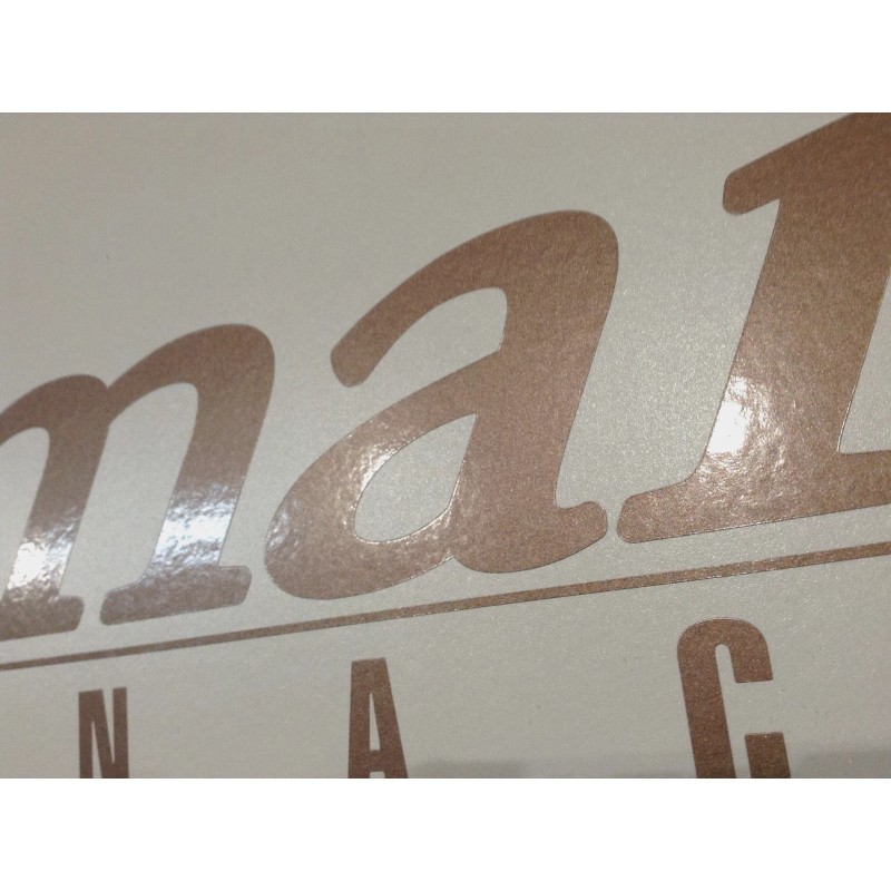MONACO CAYMAN MONACO RV DECAL LOGO LEGEND 30.5x6" BRONZE MOTORHOME