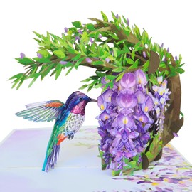 HEARTAGS- Birthday Card for Women, 6x8 in Hummingbird Wisteria Flower Pop Up Birthday Cards for Mom, Wife, Daughter, Her, Sister, Girlfriend, Grandma from Husband, Son, Popup Anniversary Card