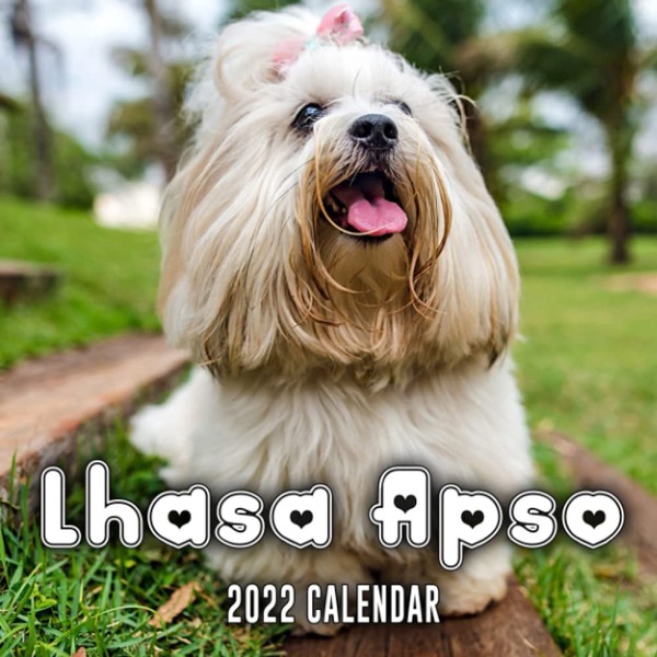 Lhasa Apso 2022 Calendar: Dog Breed January 2022 - December