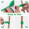 HINZIC 1 Roll Green Plant Tape 16.4 Ft × 0.57
