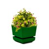 Cubiark Garden 6 Inch Square Planter Pot, with Saucer Tray