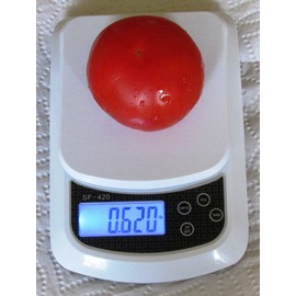 SlimWise 10kgx0.5g Digital Food Diet Kitchen Scale, Postal, Office, 22lbs Capacity