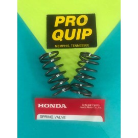 RPQChampion Champion Rocker Arm Kit with18lb High RPM Spring Predator 212cc GX200 196 24ship