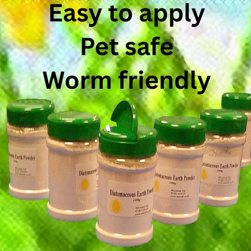 Diatomaceous Earth Powder in 100g shaker pot